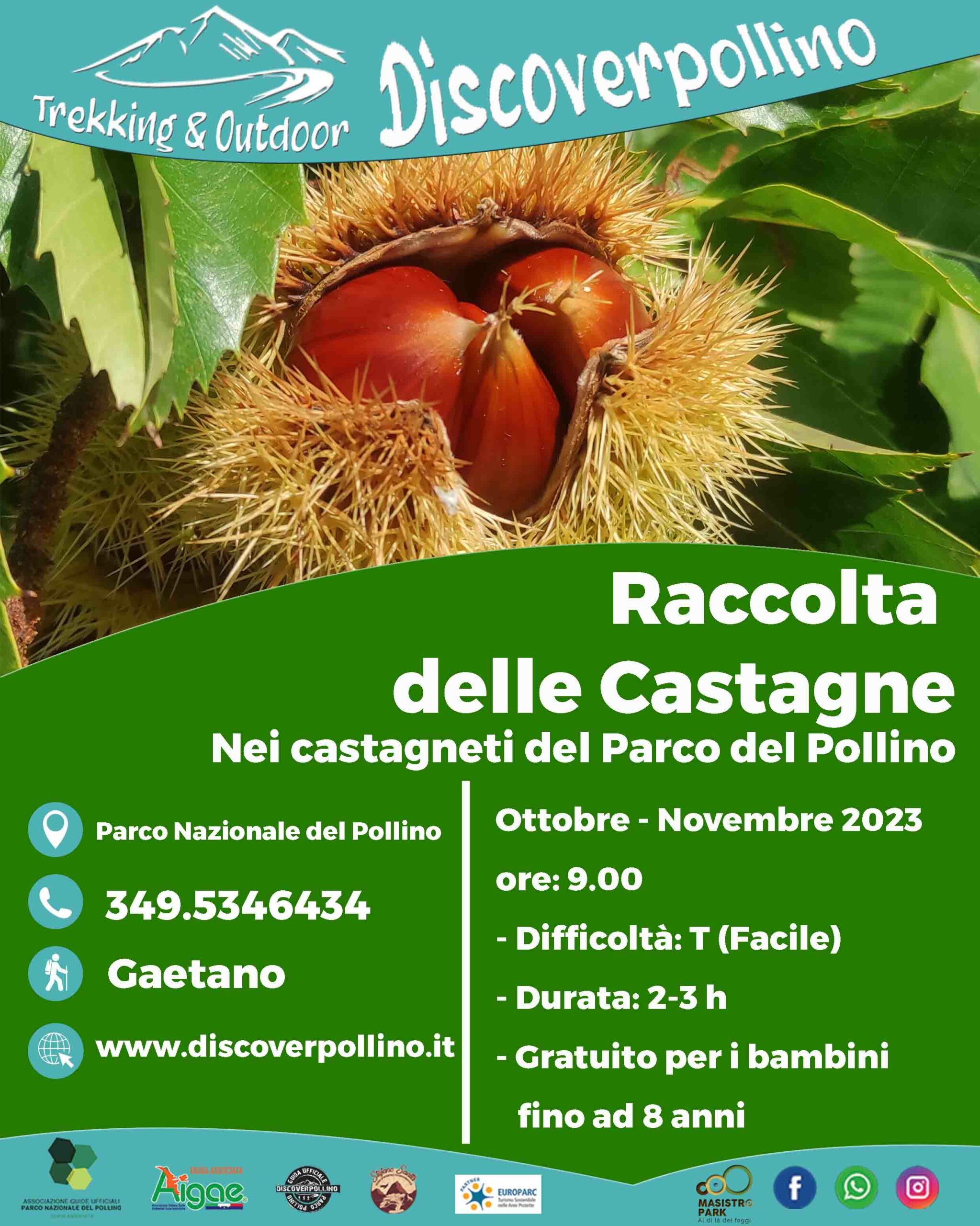 Raccolta Castagne! Destinazione Pollino