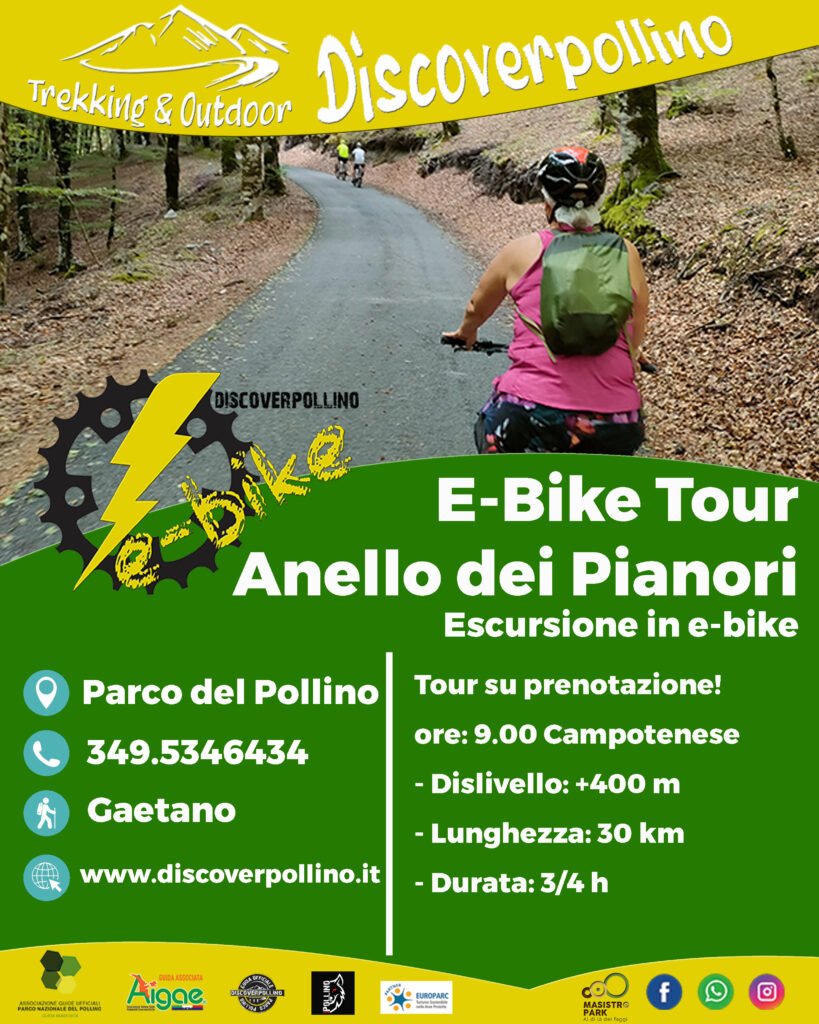 e-bike tour